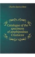 Catalogue of the Specimens of Amphipodous Crustacea