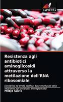 Resistenza agli antibiotici aminoglicosidi attraverso la metilazione dell'RNA ribosomiale