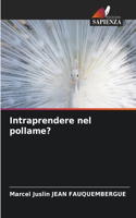 Intraprendere nel pollame?