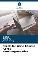 Dezellularisierte Gerüste für die Nierenregeneration