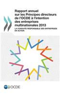 Rapport Annuel Sur Les Principes Directeurs de L'Ocde A L'Intention Des Entreprises Multinationales 2013