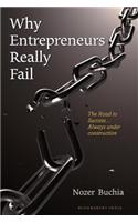 Why Entrepreneurs Really Fail