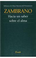 Hacia Un Saber Sobre El Alma/moving Towards Knowing the Soul