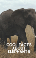 cool facts about elephants