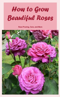 How to Grow Beautiful Roses