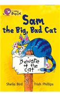 Sam the Big, Bad Cat Workbook