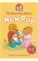 Berenstain Bears' New Pup