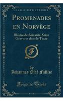 Promenades En Norvège: Illustré de Soixante-Seize Gravures Dans Le Texte (Classic Reprint)