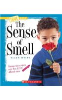 The Sense of Smell