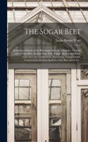 Sugar Beet