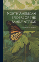 North American Spiders Of The Family Attidæ