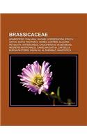 Brassicaceae: Arabidopsis Thaliana, Wasabi, Horseradish, Eruca Sativa, Isatis Tinctoria, Warea Carteri, Alliaria Petiolata, Watercress(English)