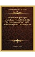 Preliminary Report Upon Invertebrate Fossils Collected By The Expeditions Of 1871-1873, With Descriptions Of New Species