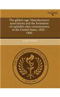 The Gilded Cage: Manufacturers' Associations and the Formation of Capitalist Class-Consciousness in the United States