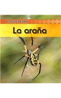 La Araña
