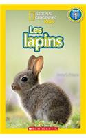 National Geographic Kids: Les Lapins (Niveau 1)