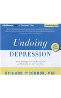 Undoing Depression: What Therapy Doesn't Teach You and Medication Can't Give You