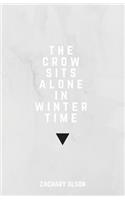 crow sits alone in winter time
