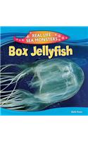 Box Jellyfish: (Real Life Sea Monsters)