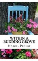 Within A Budding Grove