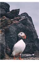 Puffin on a Cliff Seabird Journal