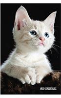 Cat Notebook: 6x 9 Lined Notebook Cat Composition Notebook Journal and Diary100 Pages (Volume 10)