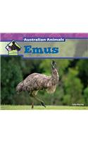 Emus