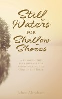 Still Waters for Shallow Shores