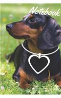 Dachshund Notebook