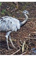The Greater Rhea Bird Journal: 150 Page Lined Notebook/Diary