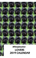 Affenpinscher Lovers 2019 Calendar