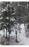 2019 Daily Planner Winter Pretty Snowstorm 384 Pages: (2019 Planners Calendars Organizers Datebooks Appointment Books Agendas)