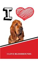 I Love Bloodhounds: Blank Cookbook Recipe Journal Featuring 120 Pages 6x9