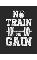 No Train No Gain