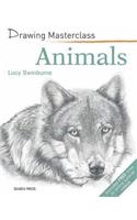 Drawing Masterclass: Animals