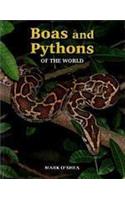 Boas and Pythons of the World