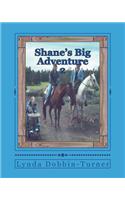 Shane's Big Adventure 2