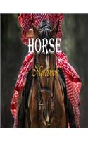 Horse Notebook: Progress Notes/ 160 Pages, lined paper: Unrolled Notebook / Glossy Cover/ Plus 2 Extra Empty Pages Total 162 Pages.