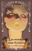 Les mondes sous l'Univers
