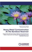 Heavy Metal Contamination at the Barekese Reservoir