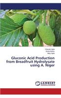 Gluconic Acid Production from Breadfruit Hydrolysate using A. Niger: (English)