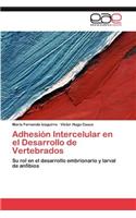 Adhesión Intercelular en el Desarrollo de Vertebrados: (Spanish)