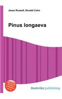 Pinus Longaeva