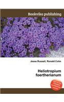 Heliotropium Foertherianum: (English)