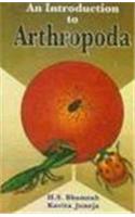 An Introduction To Arthropoda