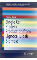 Single Cell Protein Production from Lignocellulosic Biomass
