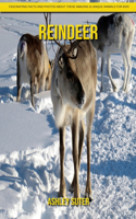 Reindeer: Fascinating Facts and Photos about These Amazing & Unique Animals for Kids