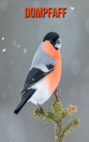 Dompfaff: Schöne Bilder & Kinderbuch mit interessanten Fakten über Dompfaff