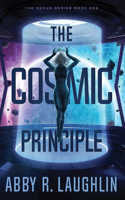 Cosmic Principle