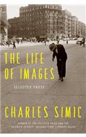 The Life of Images: Selected Prose